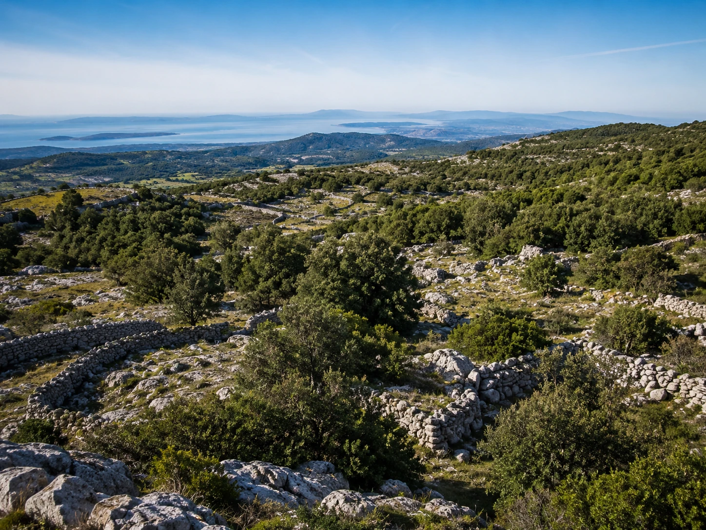 Trajnost, varstvo narave in razvoj prostora